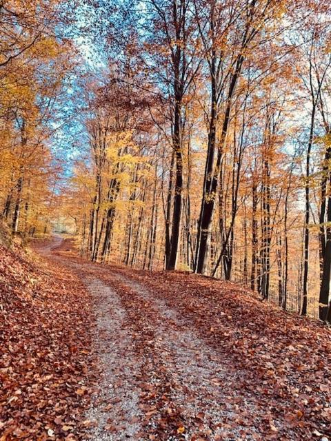 Holiday Home Maderka Strigova Luaran gambar