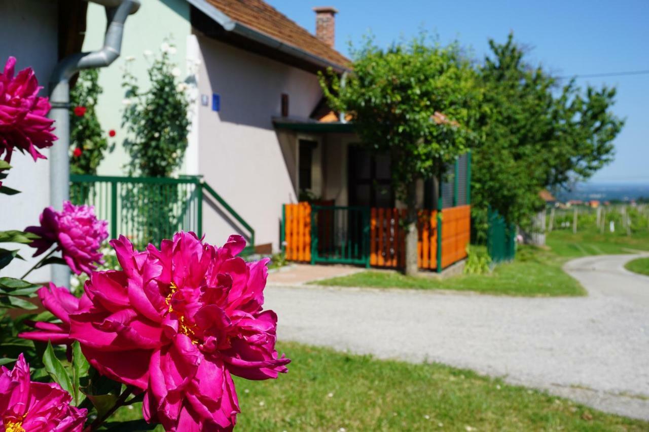 Holiday Home Maderka Strigova Luaran gambar