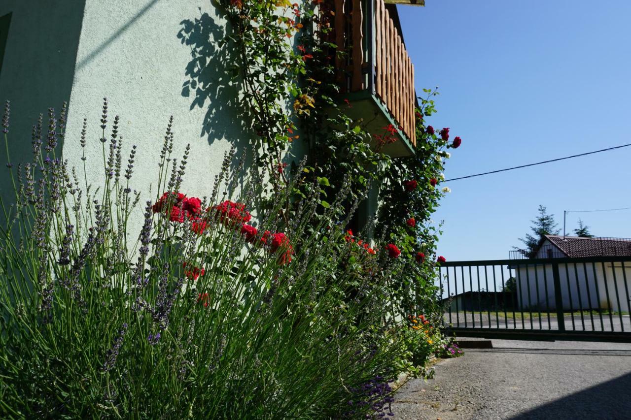 Holiday Home Maderka Strigova Luaran gambar