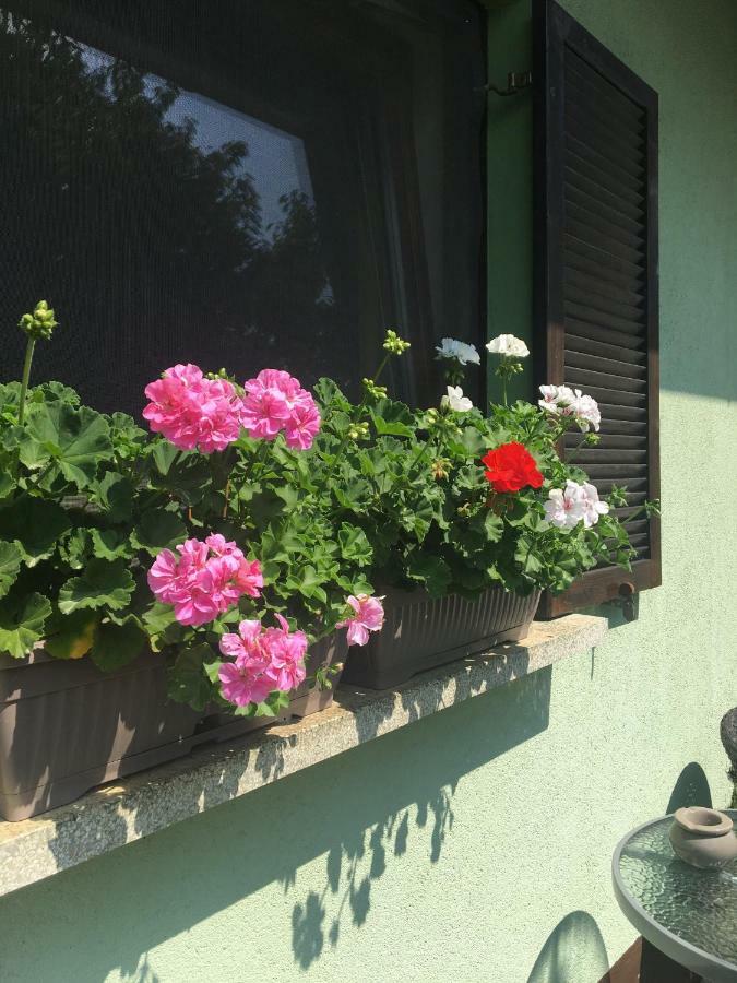 Holiday Home Maderka Strigova Luaran gambar